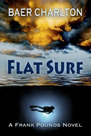 Immagine del venditore per Flat Surf [Soft Cover ] venduto da booksXpress