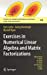 Seller image for Exercises in Numerical Linear Algebra and Matrix Factorizations (Texts in Computational Science and Engineering, 23) [Hardcover ] for sale by booksXpress