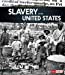 Immagine del venditore per A Primary Source History of Slavery in the United States [Soft Cover ] venduto da booksXpress