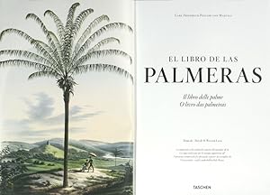 EL LIBRO DE LAS PALMERAS - IL LIBRO DELLE PALME - O LIVRO DAS PALMEIRAS.