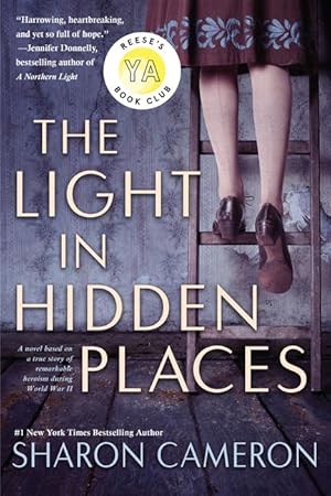 Bild des Verkufers fr The Light in Hidden Places zum Verkauf von moluna