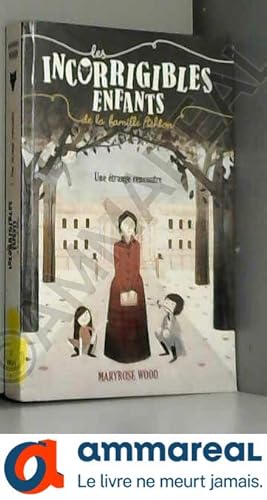 Seller image for Les incorrigibles enfants de la famille Ashton, Tome 1 : Une trange rencontre for sale by Ammareal