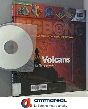 Seller image for Les Volcans for sale by Ammareal