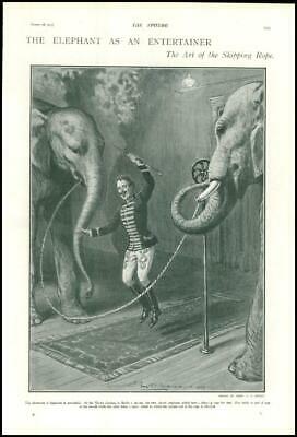 Seller image for 1903 GERMANY Berlin Elephant Entertainer Winter Gardens Skipping Rope (147) for sale by Antique Paper Company