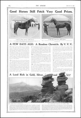Seller image for 1910 USA Colorado Rock Formations HORSES Sale Morrow Newmarket Helot (266) for sale by Antique Paper Company