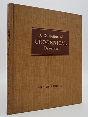 A COLLECTION OF UROGENITAL DRAWINGS Anatomy, Anomalies, Gross Pathology, 1915-1952