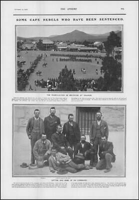 Seller image for 1901 BOER WAR Cape Rebels Prisoners Cradock Lotter Wolfwart Graaff Reinet (97) for sale by Antique Paper Company