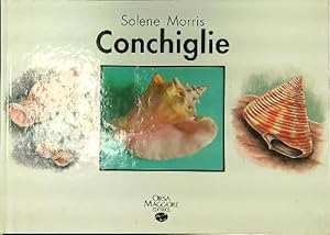 Seller image for Conchiglie for sale by Librodifaccia