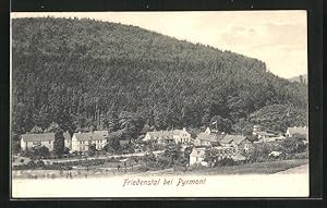 Image du vendeur pour Ansichtskarte Pyrmont, Friedenstal, Teilansicht mit Wald mis en vente par Bartko-Reher