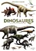 Bild des Verkufers fr Découvre le monde - Dinosaures [FRENCH LANGUAGE - No Binding ] zum Verkauf von booksXpress