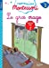 Seller image for Le gros orage, niveau 3 - J'apprends à lire Montessori [FRENCH LANGUAGE] Poche for sale by booksXpress