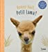Seller image for Bonne nuit petit lama [FRENCH LANGUAGE - No Binding ] for sale by booksXpress