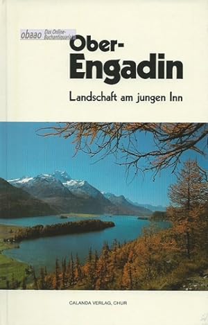 Seller image for Oberengadin. Landschaft am jungen Inn for sale by obaao - Online-Buchantiquariat Ohlemann
