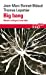 Seller image for Big bang: Histoire critique d'une idée [FRENCH LANGUAGE - No Binding ] for sale by booksXpress