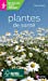 Seller image for Miniguide tout terrain - Plantes de santé - Adulte [FRENCH LANGUAGE] Broché for sale by booksXpress