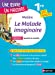 Immagine del venditore per Analyse et étude de l'oeuvre - Le Malade Imaginaire de Molière - Réussir son BAC Français 1re 2022 - Parcours associé Spectacle et comédie - Une oeuvre, un parcours (6) [FRENCH LANGUAGE - No Binding ] venduto da booksXpress