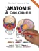 Imagen del vendedor de Anatomie à colorier, 4e éd. [FRENCH LANGUAGE - No Binding ] a la venta por booksXpress