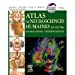 Seller image for Atlas de neurosciences humaines de Netter - CANADA: Neuroanatomie - Neurophysiologie [FRENCH LANGUAGE] Broché for sale by booksXpress