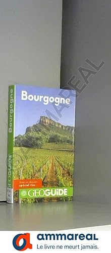 Seller image for Guide Bourgogne for sale by Ammareal