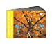 Image du vendeur pour Du platane au gingko: Histoire d'automne [FRENCH LANGUAGE - No Binding ] mis en vente par booksXpress