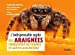 Bild des Verkufers fr L'indispensable guide des araignées de France et autres arachnides [FRENCH LANGUAGE - No Binding ] zum Verkauf von booksXpress