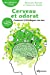 Image du vendeur pour Cerveau et odorat Nouvelle édition: Comment (ré)éduquer son nez [FRENCH LANGUAGE - No Binding ] mis en vente par booksXpress