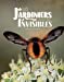 Image du vendeur pour Les jardiniers invisibles [FRENCH LANGUAGE - No Binding ] mis en vente par booksXpress