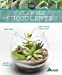 Image du vendeur pour Plantes succulentes [FRENCH LANGUAGE - No Binding ] mis en vente par booksXpress