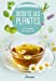 Bild des Verkufers fr Secrets des plantes: 60 recettes pour mieux vivre [FRENCH LANGUAGE - No Binding ] zum Verkauf von booksXpress