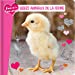 Imagen del vendedor de Bébés animaux de la ferme [FRENCH LANGUAGE - No Binding ] a la venta por booksXpress