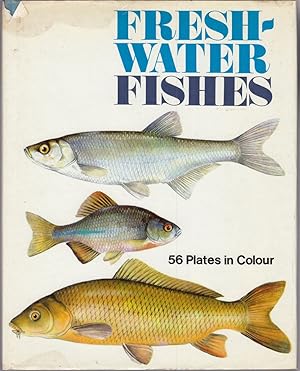 Seller image for FRESH-WATER FISHES. Text by Juraj Holcik and Jozef Mihalik. Illustrations by Jiri Maly. for sale by Coch-y-Bonddu Books Ltd