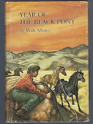 Year of the Black Pony