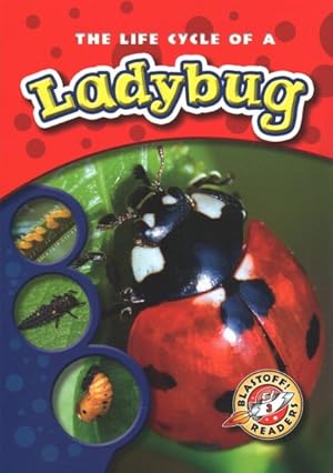 Immagine del venditore per Life Cycle of a Ladybug venduto da GreatBookPrices