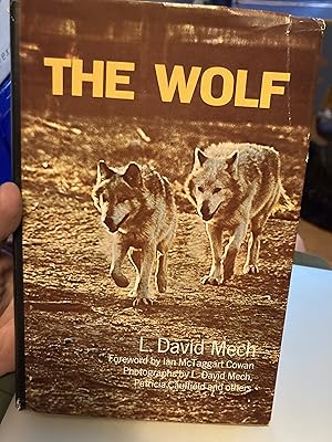 Seller image for the wolf for sale by A.C. Daniel's Collectable Books