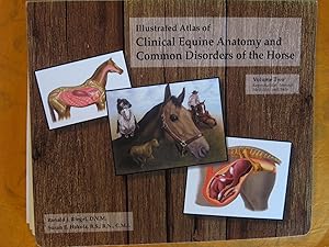 Illustrated Atalas of Clinical Equine Anatomy and Common Disorders of the Horse Volume Two: Repro...