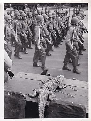 Original-Photographie mit dem Titel: Parade des 6. Infanterie Regimentes in Berlin Dahlem. (Aufna...