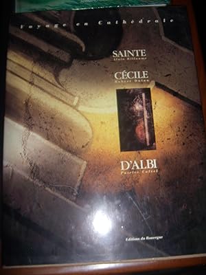 Seller image for Voyage en cath drale Sainte-C cile d'Albi Dulau Robert, Calvel Patrice, Willaume Alain for sale by Les-Feuillets-du-Vidourle
