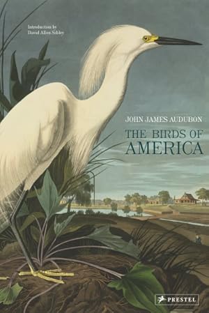 Seller image for Birds of America for sale by GreatBookPricesUK