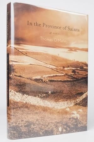 In the Province of Saints: A Novel