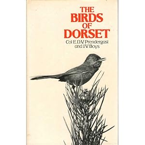 Imagen del vendedor de The Birds of Dorset a la venta por Buteo Books