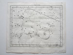 Bild des Verkufers fr La baleine   The Whale. zum Verkauf von Angelika C. J. Friebe Ltd. - MapWoman