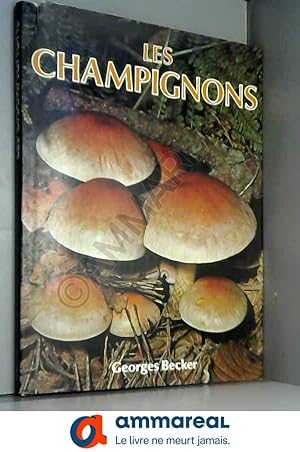 Image du vendeur pour Champignons mis en vente par Ammareal