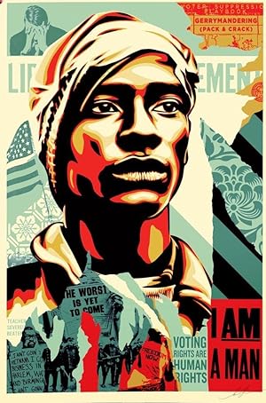 Obey Voting Rights Are Human Rights (poster SIGNED Offset Lithograph by Shepard Fairey