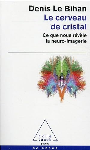 le cerveau de cristal : ce que nous révèle la neuro-imagerie