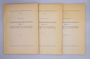 Cambodunumforschungen 1953; Die Ausgrabung von Holzhäusern zwischen der 1. und 2. Querstrasse;