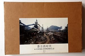 Imagen del vendedor de Zeng Li : A China Chronicle a la venta por BuchKunst-Usedom / Kunsthalle