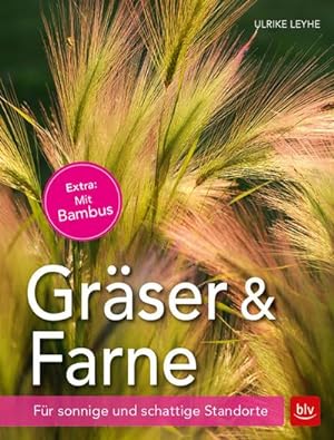 Seller image for Grser und Farne : Fr sonnige und schattige Standorte for sale by Smartbuy