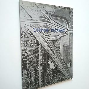 Image du vendeur pour Esther Pizarro: Percepciones de L. A., topografa y memoria mis en vente par MAUTALOS LIBRERA