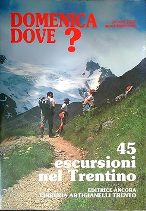 Bild des Verkufers fr Domenica dove? 45 escursioni nel Trentino zum Verkauf von Librodifaccia