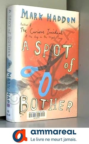 Seller image for A Spot of Bother, A for sale by Ammareal